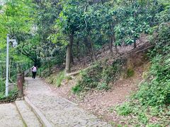 -上海佘山国家森林公园西佘山园