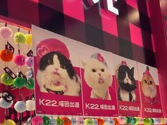 -K22.酸奶草莓(长春上海路万达店)