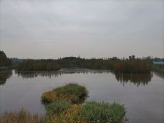 -白鹭湾湿地公园