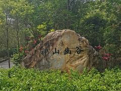 -广州白江湖森林公园