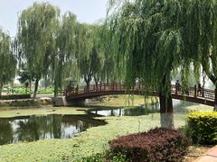 -白洋淀景区