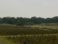 -宜兴龙背山森林公园