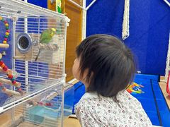 -满天星幼儿园(北京太阳宫园)