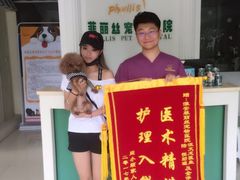 -菲丽丝宠物医院·24小时·猫科中心·免疫点(淮海分院)