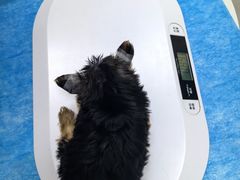 -中农国际动物医院24小时·猫科·骨科·急重症中心