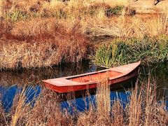 -长春市南湖公园