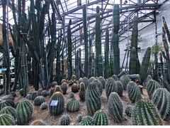 -南山植物园