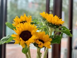 -加帕瑜伽培训学院