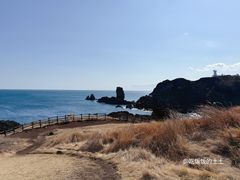 景点-涉地可支