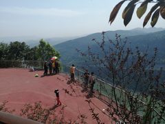 -铁山坪森林公园