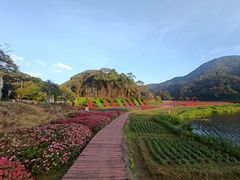 -广州市石门国家森林公园