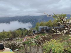 -九皇山景区