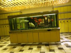 -碧涛阁·泡泡海洋·汤泉洗浴(王府花园店)
