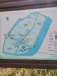 -水八仙生态园
