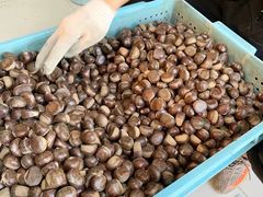 -陈记栗子(长宁路店)