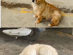 -亮佳鸿华二手市场