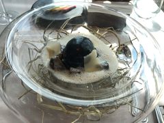 -翡翠36餐厅(浦东香格里拉店)