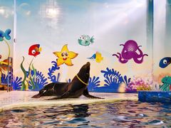 -太平洋海底世界