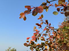 -北京西山国家森林公园