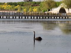 -天津东丽湖风景区