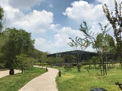 周围环境-猫的天空之城概念书店(杭州南宋御街店)