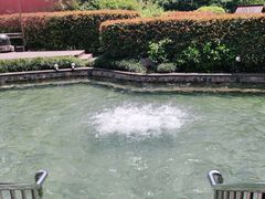 -杭州第一世界大酒店·云曼温泉