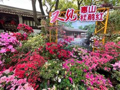 -惠山古镇·寄畅园