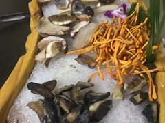 -老诚一锅羊蝎子(黄寺大街店)