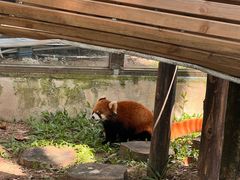 -呀诺达热带雨林
