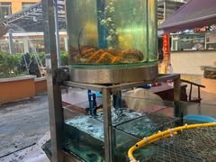 -荔城生鲜盛宴(番禺旗舰店)
