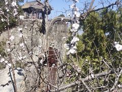 -北京鹫峰国家森林公园