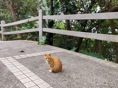 -广州市白云山风景名胜区