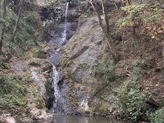 -宁波市保国寺古建筑博物馆