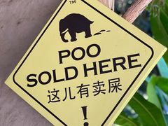 -大象粑粑造纸公园