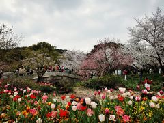 -苏州上方山国家森林公园