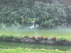 -广州长隆飞鸟乐园