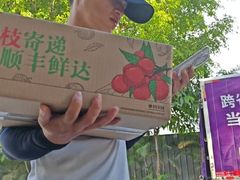 -鹏城八珍深圳特产手信(罗湖店)