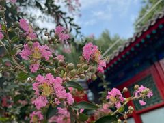 -恭王府博物馆