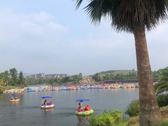 -枫香湖儿童公园