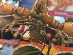 -79号渔船海鲜饭店(宝安店)