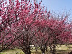 -南京市江宁方山