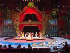 -珠海横琴长隆《卡卡虎奇遇记》