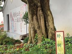 -蠡湖大桥公园