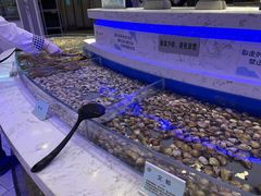-澜悦港海鲜体验主题餐厅