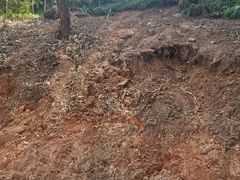 -神光山国家森林公园