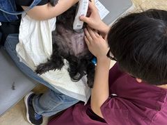 -美联众合动物医院·24h转诊中心
