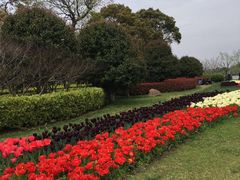-上海鲜花港