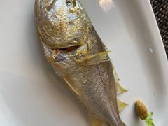 -潮汕味道·煮海餐厅(金麟大厦店)