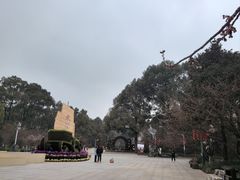 -南山植物园