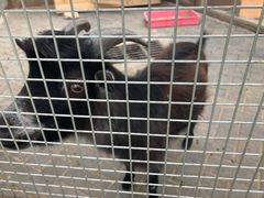 -静之湖湖畔餐厅